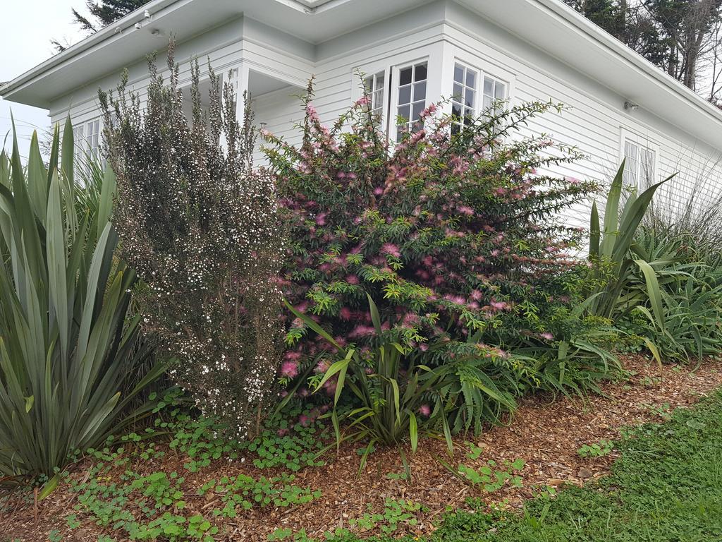 Runciman Berries And Emus B&B Ramarama Room photo